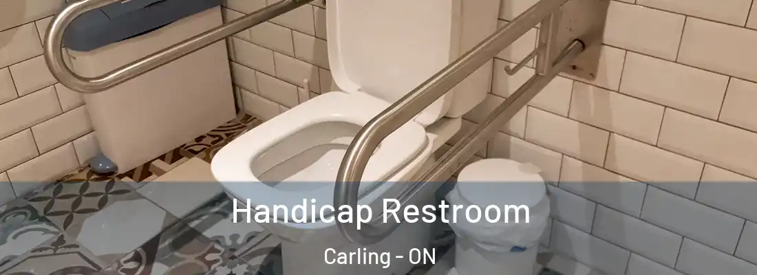  Handicap Restroom Carling - ON