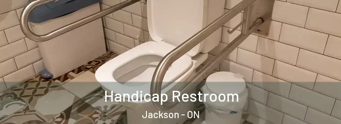  Handicap Restroom Jackson - ON