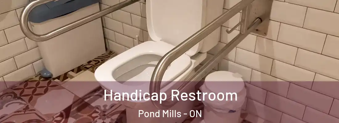  Handicap Restroom Pond Mills - ON