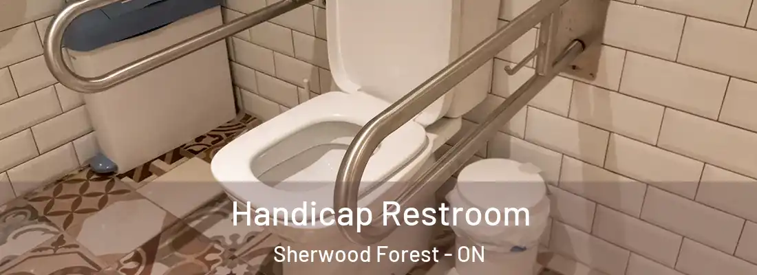  Handicap Restroom Sherwood Forest - ON