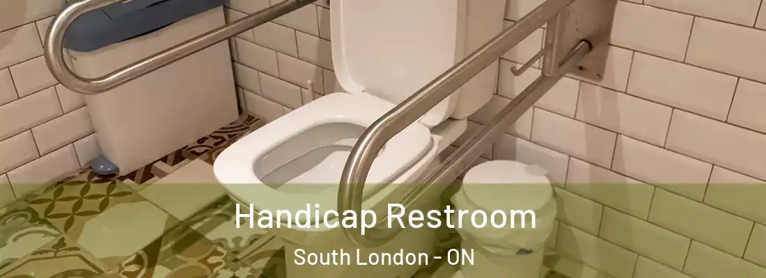  Handicap Restroom South London - ON