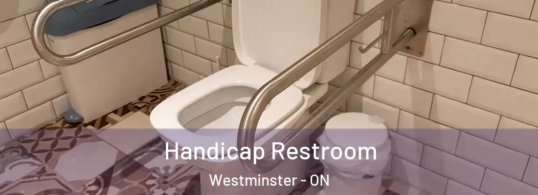  Handicap Restroom Westminster - ON