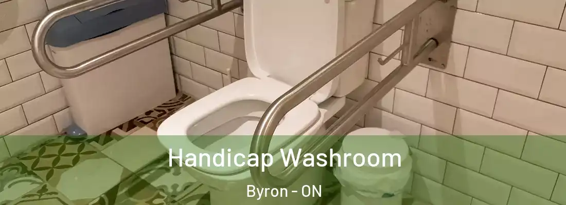  Handicap Washroom Byron - ON
