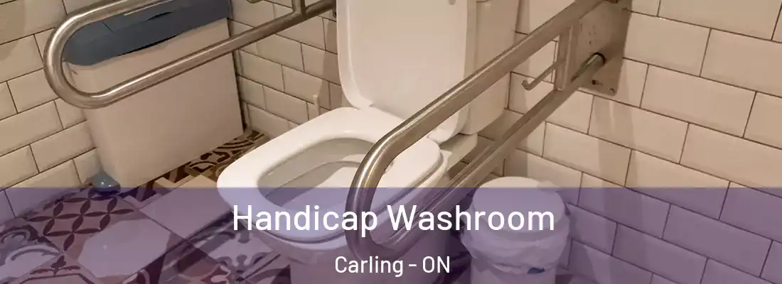  Handicap Washroom Carling - ON
