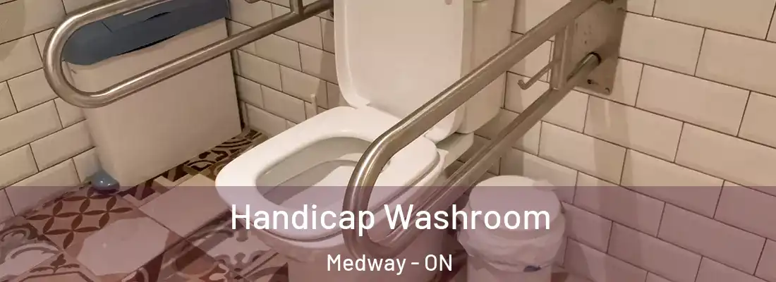  Handicap Washroom Medway - ON