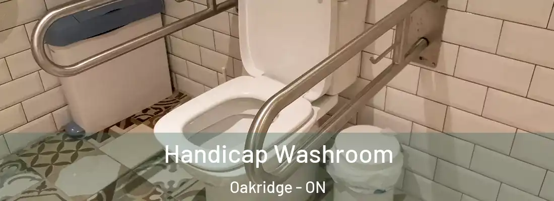  Handicap Washroom Oakridge - ON