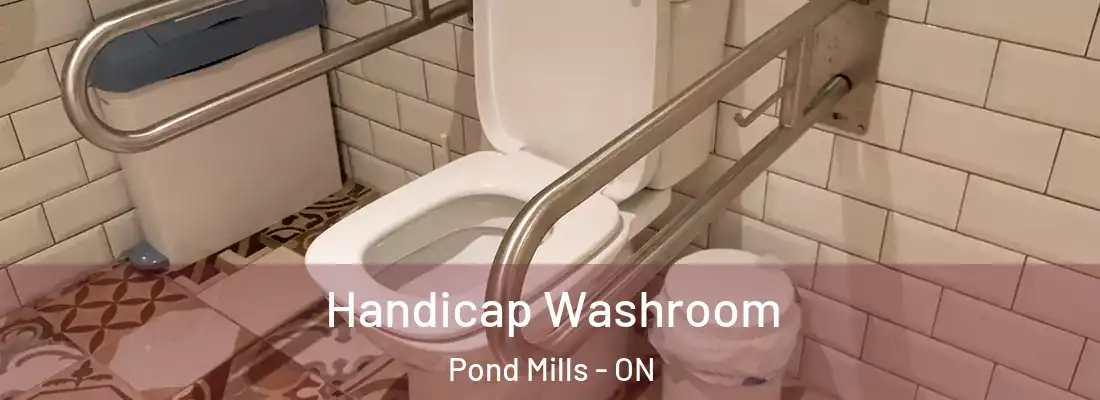  Handicap Washroom Pond Mills - ON