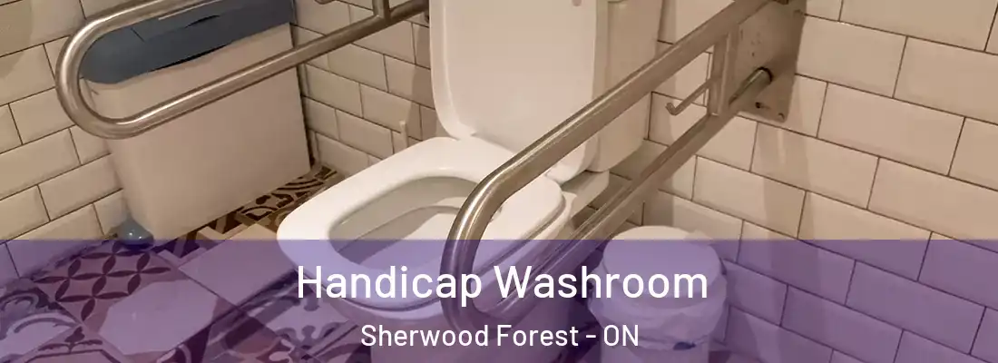  Handicap Washroom Sherwood Forest - ON