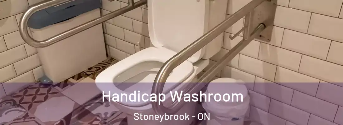  Handicap Washroom Stoneybrook - ON