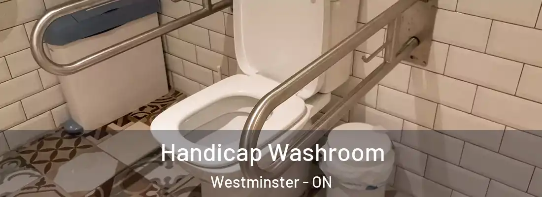  Handicap Washroom Westminster - ON