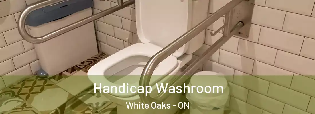  Handicap Washroom White Oaks - ON