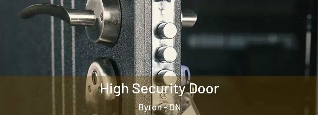  High Security Door Byron - ON