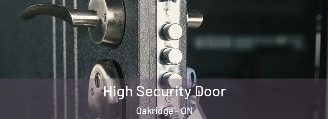  High Security Door Oakridge - ON