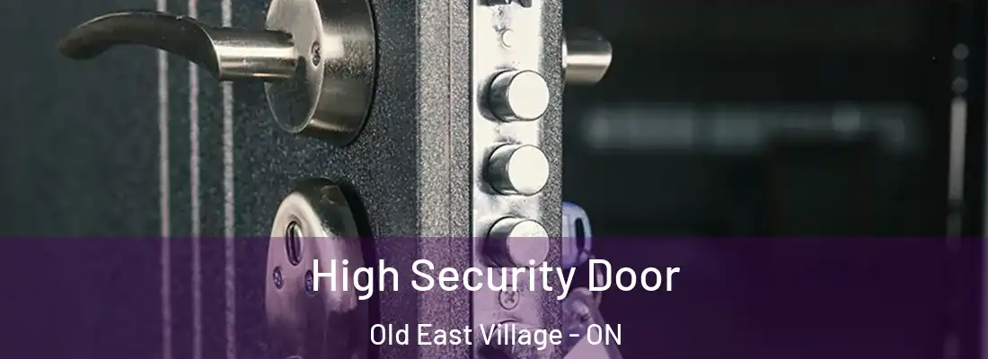  High Security Door Old East Village - ON