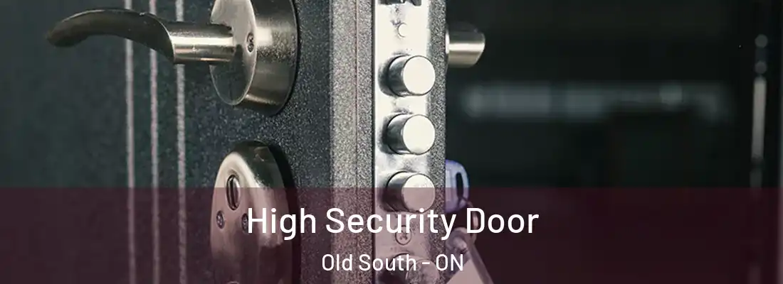  High Security Door Old South - ON