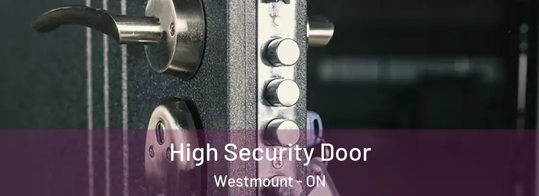  High Security Door Westmount - ON