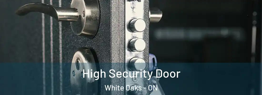  High Security Door White Oaks - ON