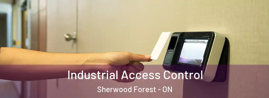  Industrial Access Control Sherwood Forest - ON
