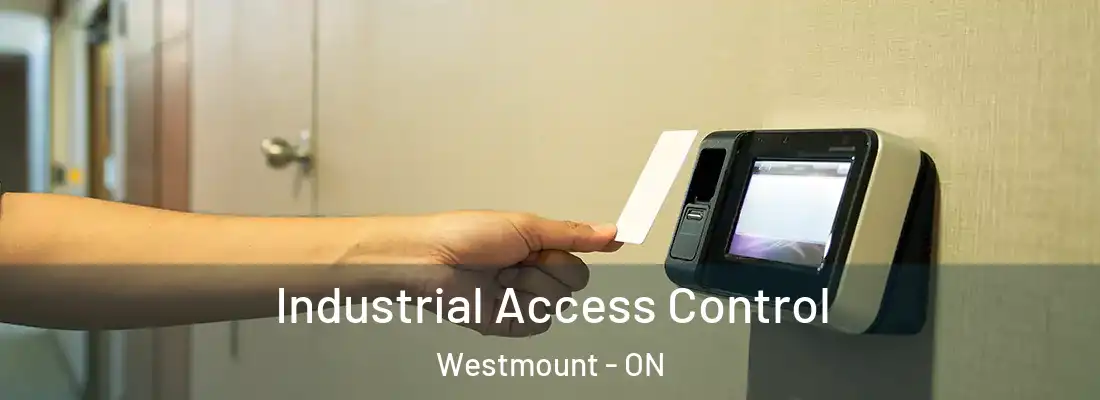  Industrial Access Control Westmount - ON
