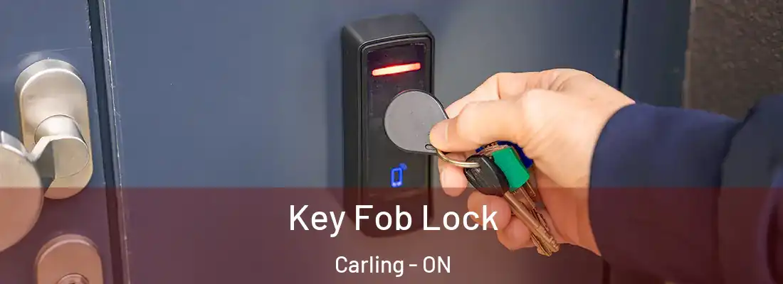 Key Fob Lock Carling - ON