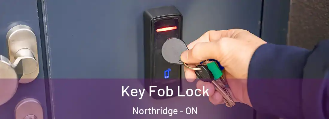  Key Fob Lock Northridge - ON