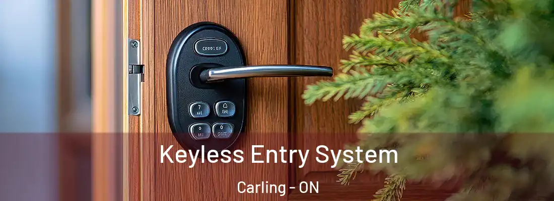 Keyless Entry System Carling - ON
