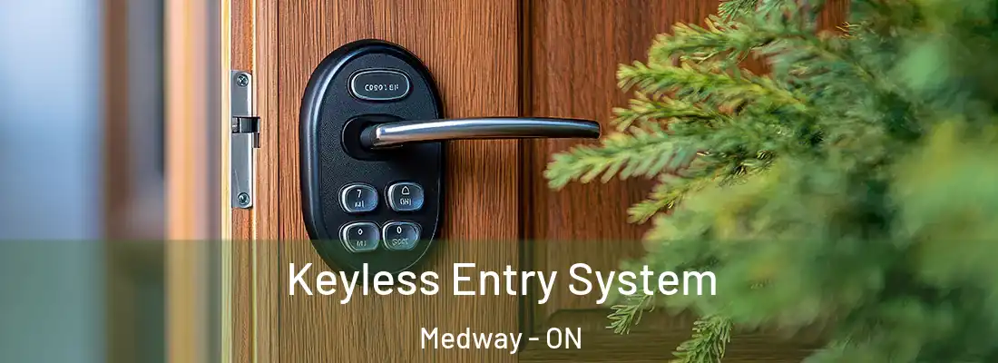  Keyless Entry System Medway - ON