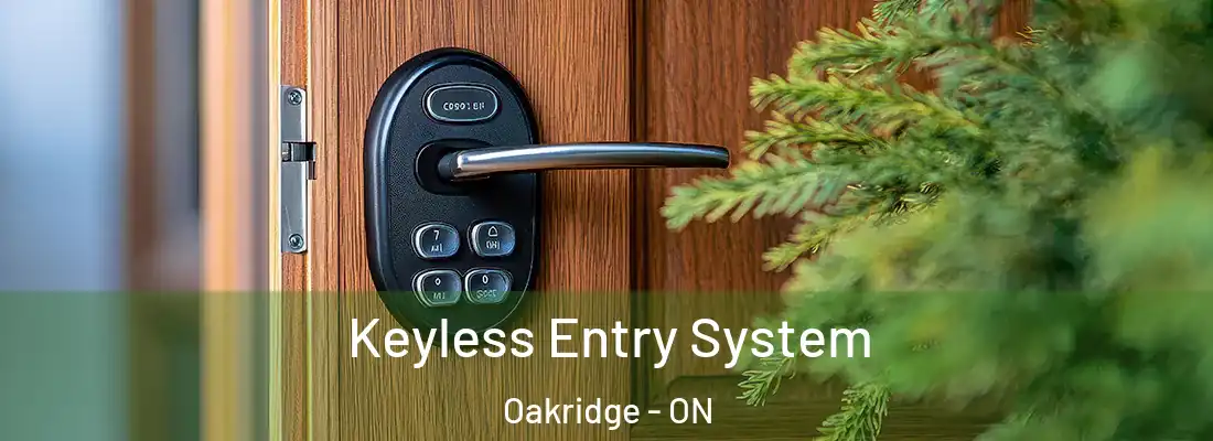  Keyless Entry System Oakridge - ON