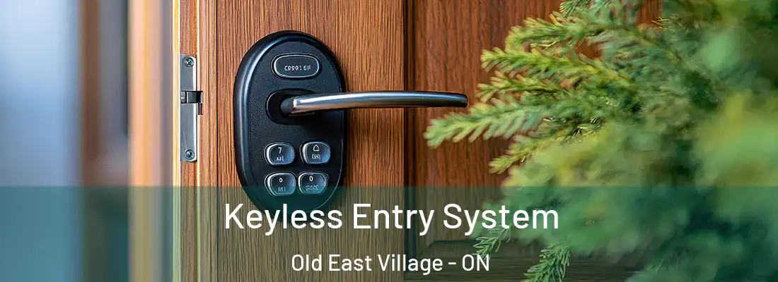  Keyless Entry System Old East Village - ON