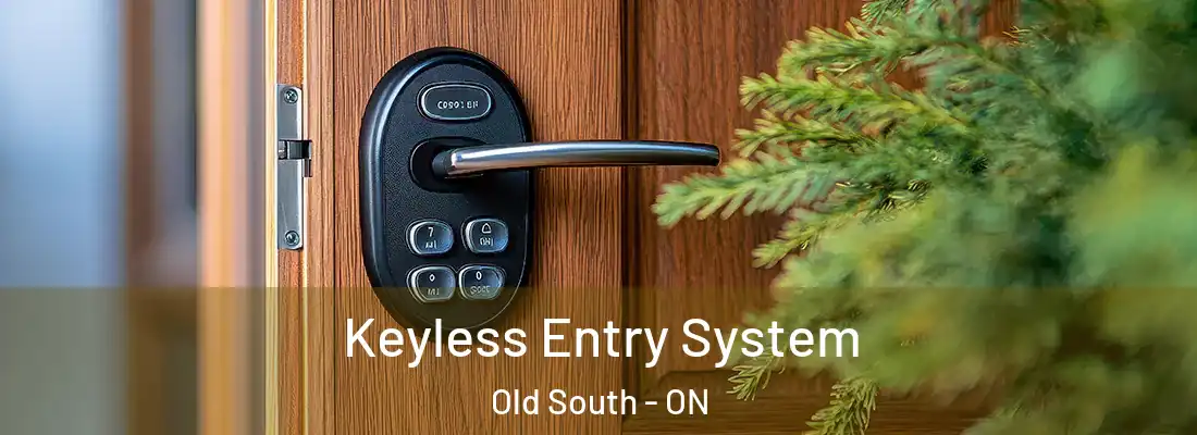  Keyless Entry System Old South - ON