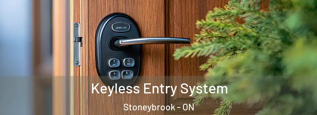  Keyless Entry System Stoneybrook - ON