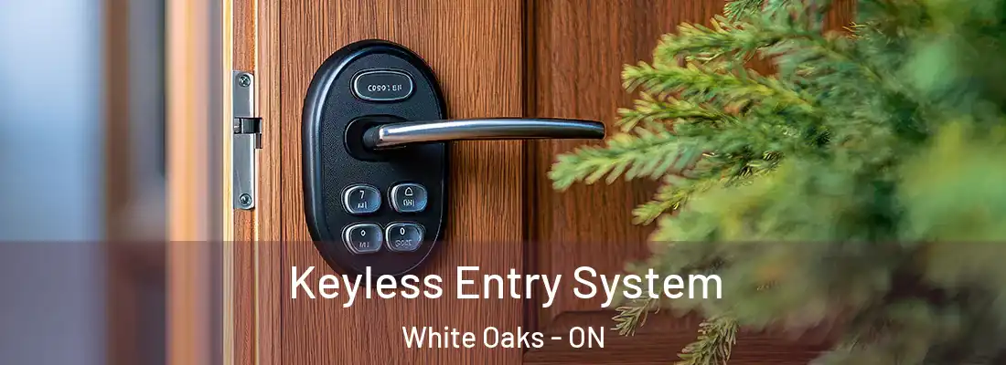  Keyless Entry System White Oaks - ON