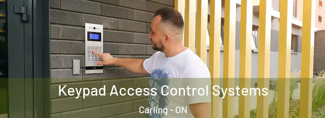  Keypad Access Control Systems Carling - ON