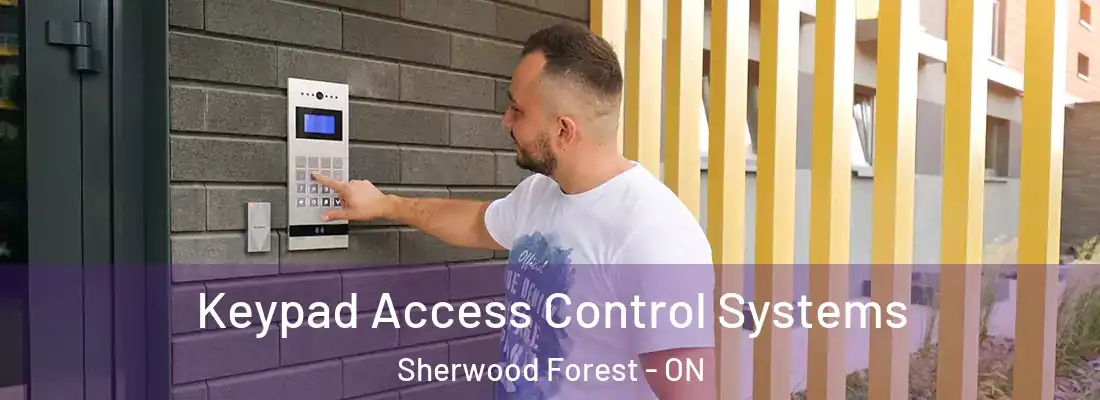  Keypad Access Control Systems Sherwood Forest - ON