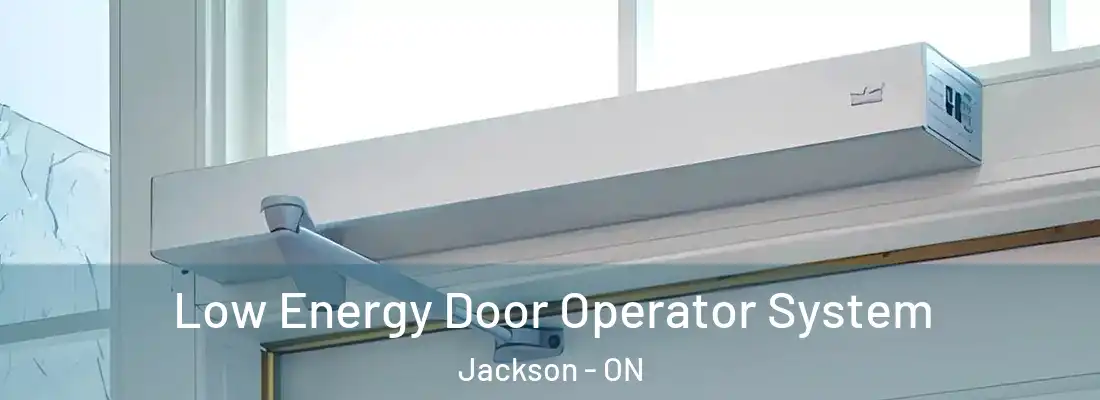  Low Energy Door Operator System Jackson - ON