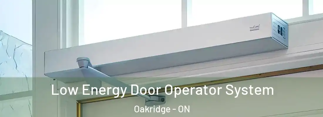  Low Energy Door Operator System Oakridge - ON