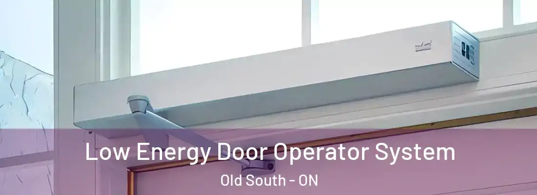  Low Energy Door Operator System Old South - ON