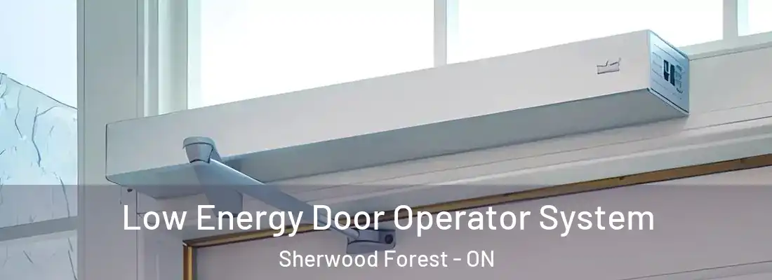  Low Energy Door Operator System Sherwood Forest - ON
