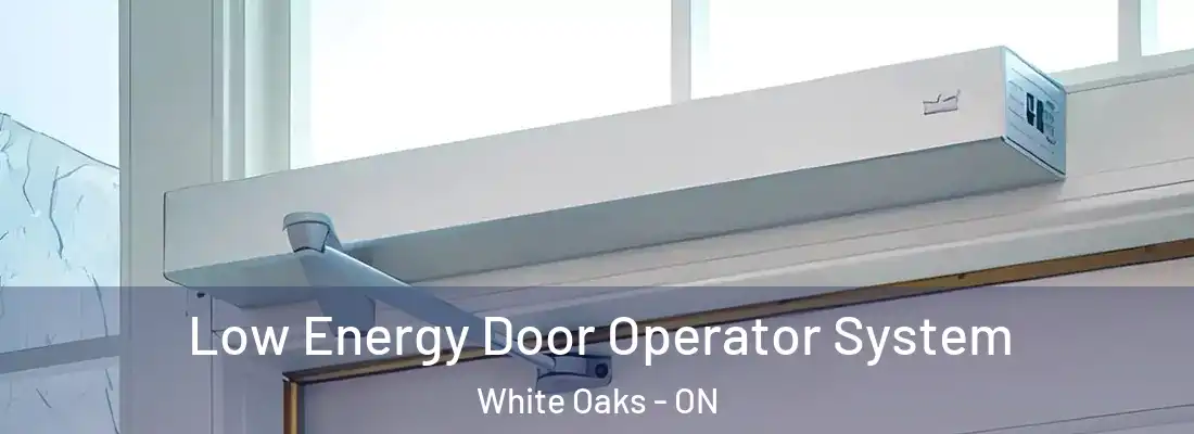  Low Energy Door Operator System White Oaks - ON