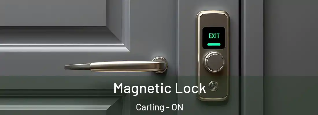  Magnetic Lock Carling - ON