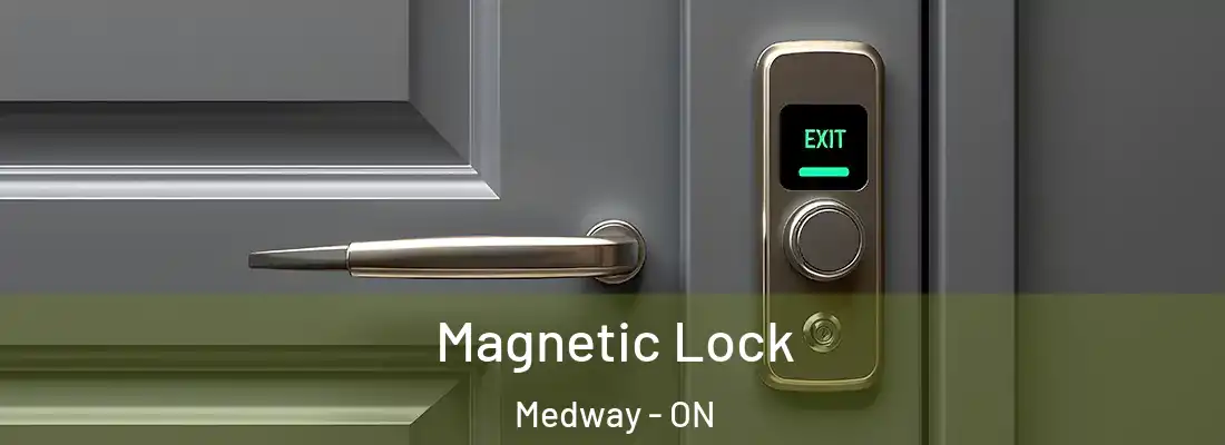  Magnetic Lock Medway - ON