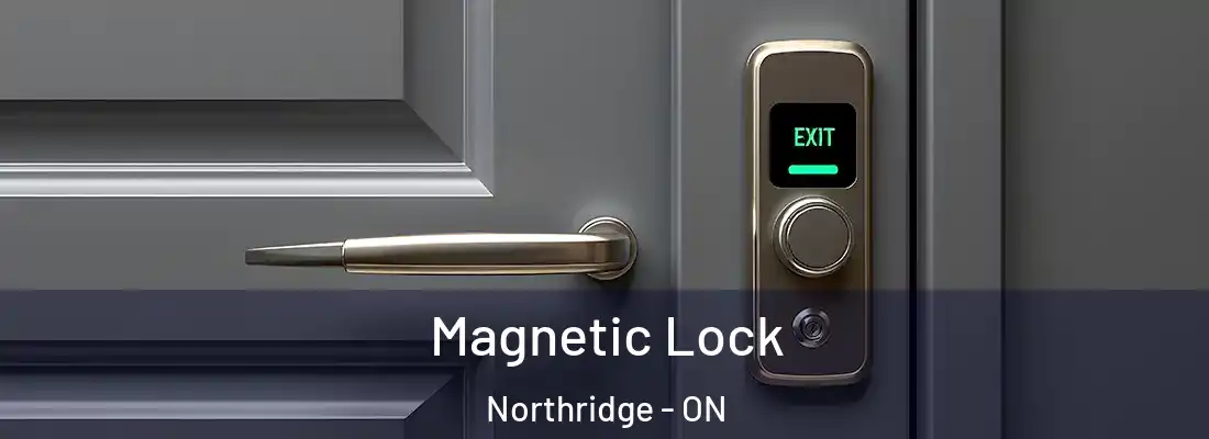  Magnetic Lock Northridge - ON