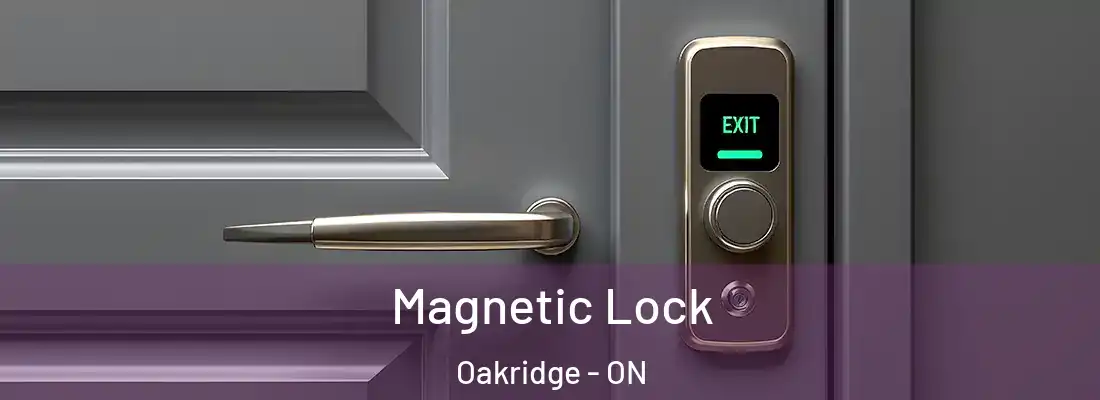  Magnetic Lock Oakridge - ON