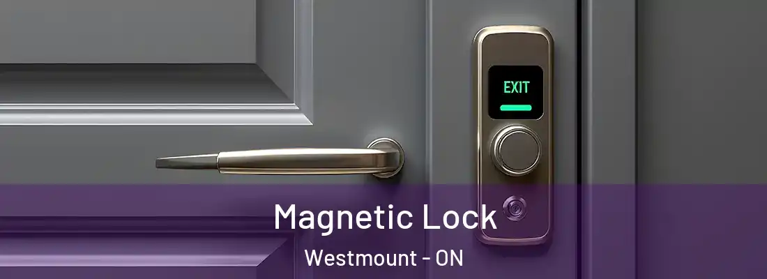  Magnetic Lock Westmount - ON