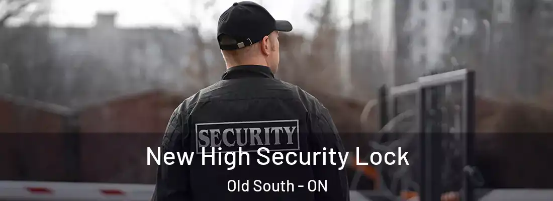  New High Security Lock Old South - ON