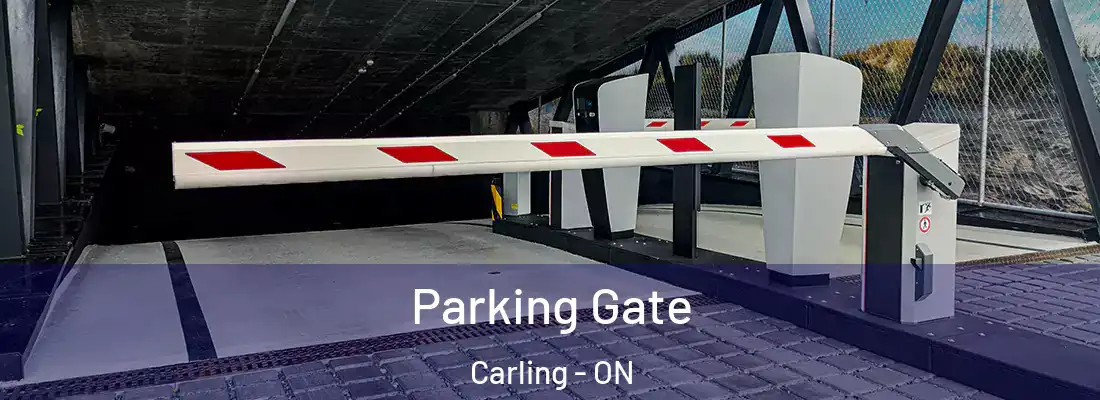  Parking Gate Carling - ON