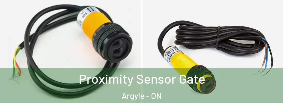  Proximity Sensor Gate Argyle - ON