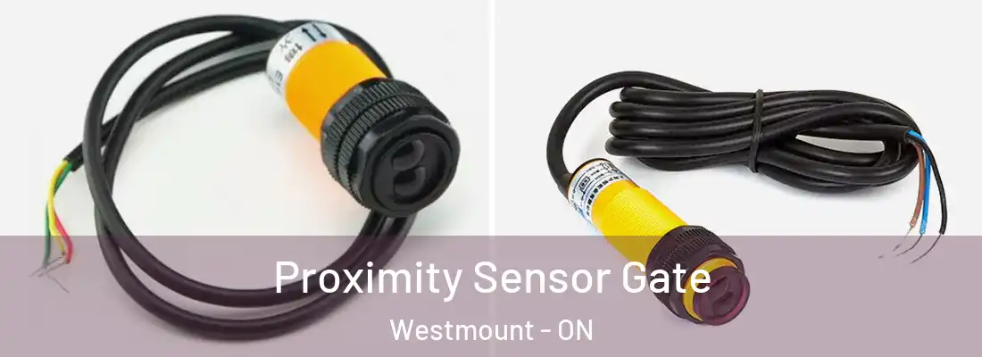  Proximity Sensor Gate Westmount - ON