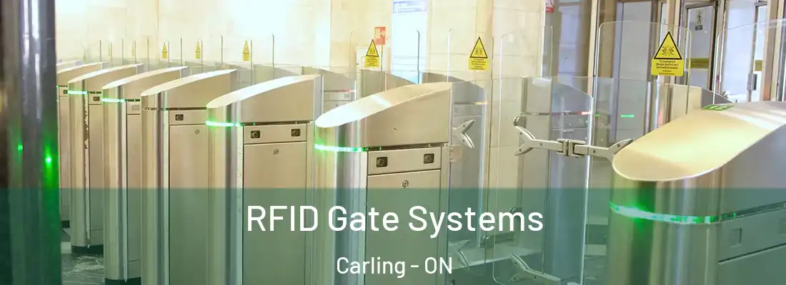  RFID Gate Systems Carling - ON