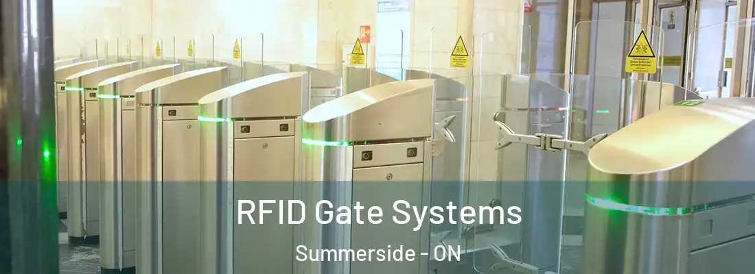  RFID Gate Systems Summerside - ON